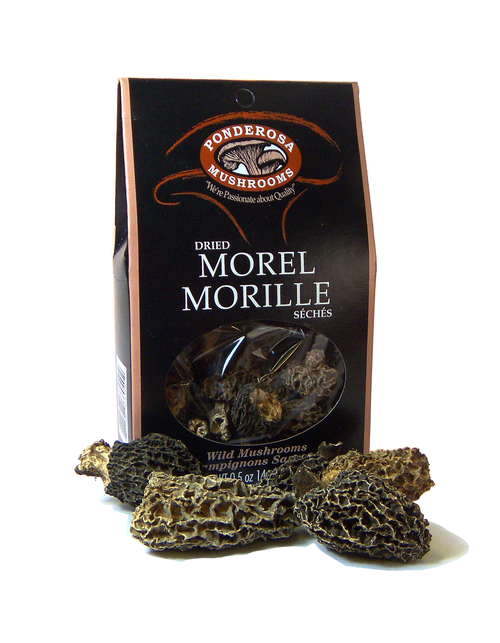 Mushroom- Ponderossa- Morel